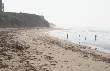 Misty Morn