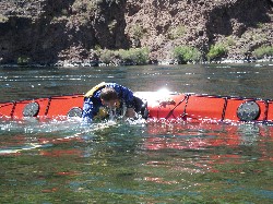 IMG_4535d.JPG