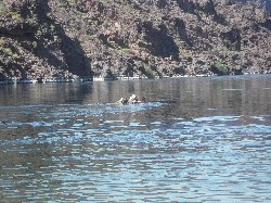 IMG_4535k.JPG