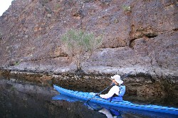 IMG_4651.JPG