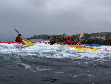 ceIMG_3335.jpg