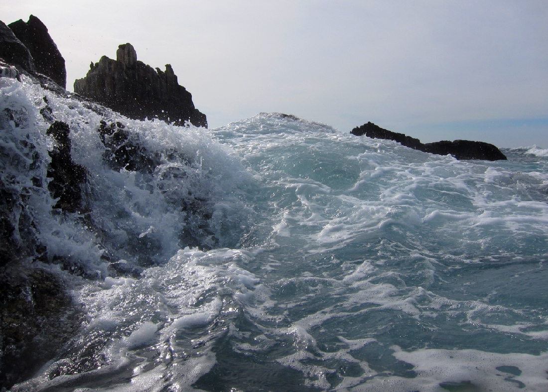 n_IMG_7845.jpg