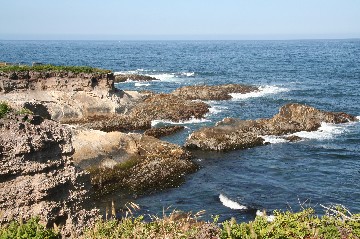 IMG_5554.JPG