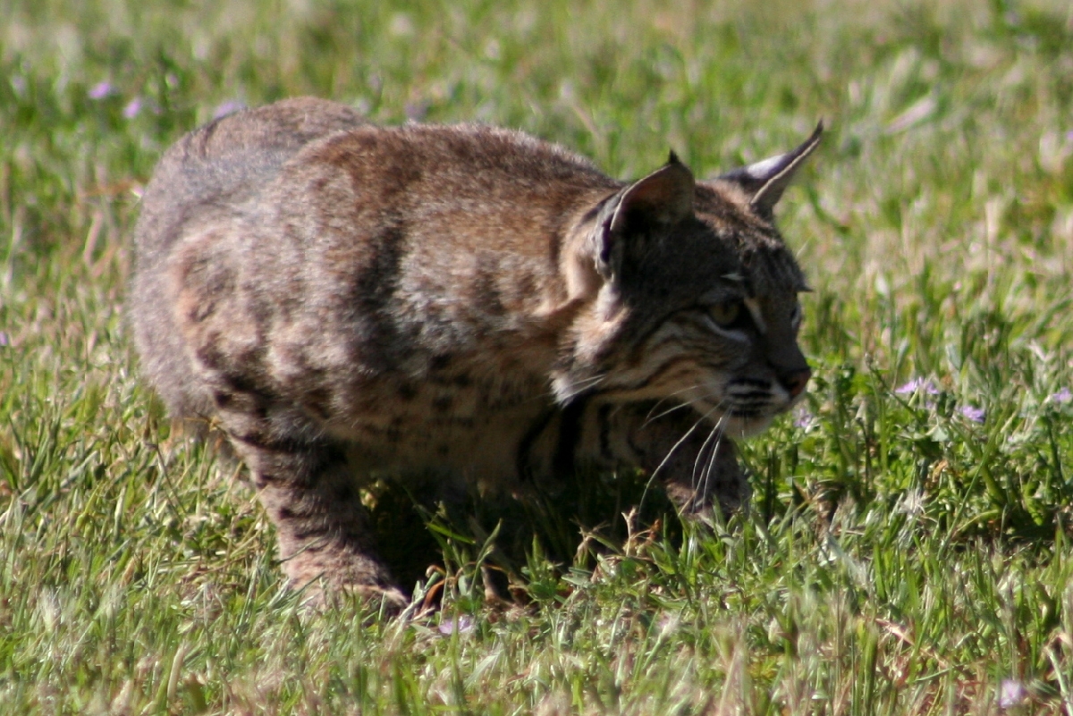 n_aIMG_5664.jpg