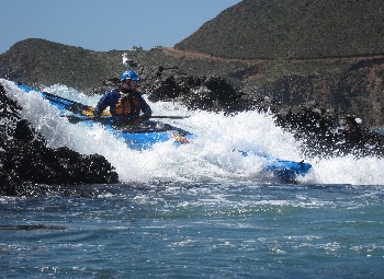 IMG_3980_crop.JPG