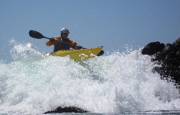IMG_3990_crop.JPG