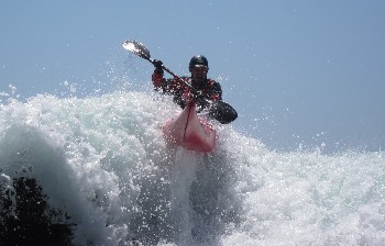 IMG_3997_crop.JPG