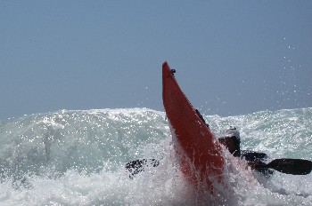 IMG_4018_crop.JPG