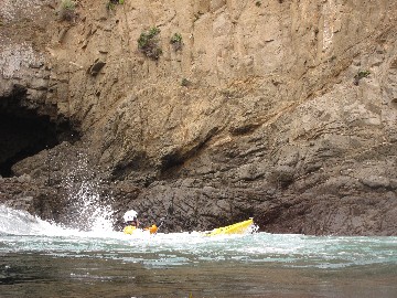 IMG_3792.JPG