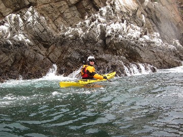 IMG_3862.JPG
