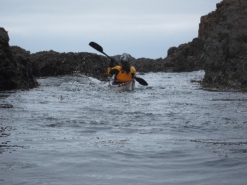 IMG_4403.JPG