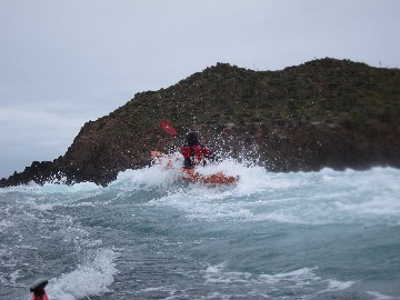 IMG_4435.JPG