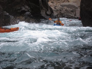 IMG_4466.JPG